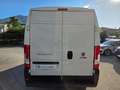 Fiat Ducato 35 2.2 Mjt 140CV PM-TM + CAR PLAY & ANDROID Bianco - thumbnail 7