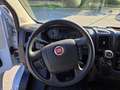 Fiat Ducato 35 2.2 Mjt 140CV PM-TM + CAR PLAY & ANDROID Bianco - thumbnail 6