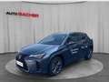 Lexus UX 300h F-Sport Design 199 PS 2WD Grau - thumbnail 1