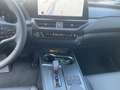 Lexus UX 300h F-Sport Design 199 PS 2WD Grau - thumbnail 11