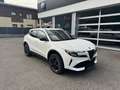 Alfa Romeo Junior Ibrida Q4 1.2 MHEV eAWD e-DCT6 145PS Q4 Weiß - thumbnail 6