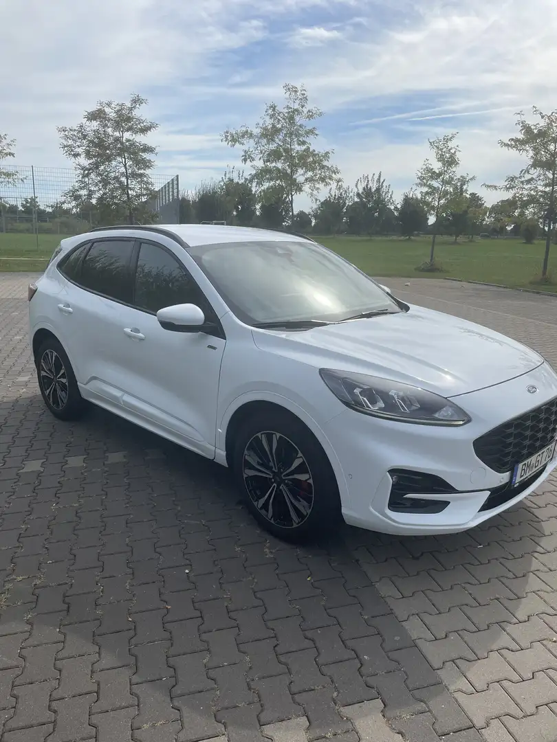 Ford Kuga ST-Line Weiß - 2