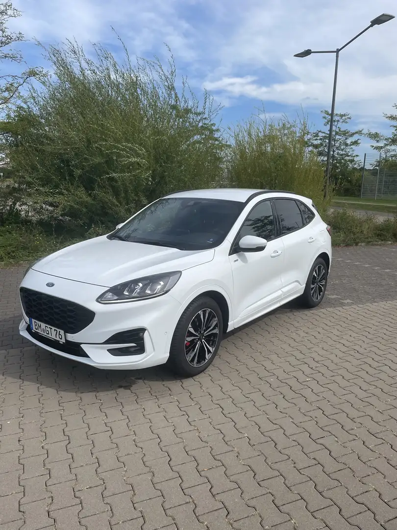 Ford Kuga ST-Line Weiß - 1