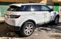 Land Rover Range Rover Evoque Range Rover Evoque  5p 2.2 td4 Pure Tech 150cv Weiß - thumbnail 20
