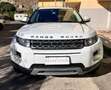 Land Rover Range Rover Evoque Range Rover Evoque  5p 2.2 td4 Pure Tech 150cv Weiß - thumbnail 16