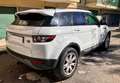 Land Rover Range Rover Evoque Range Rover Evoque  5p 2.2 td4 Pure Tech 150cv Weiß - thumbnail 4