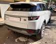 Land Rover Range Rover Evoque Range Rover Evoque  5p 2.2 td4 Pure Tech 150cv Weiß - thumbnail 23