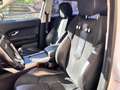 Land Rover Range Rover Evoque Range Rover Evoque  5p 2.2 td4 Pure Tech 150cv Weiß - thumbnail 12