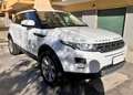 Land Rover Range Rover Evoque Range Rover Evoque  5p 2.2 td4 Pure Tech 150cv Weiß - thumbnail 17