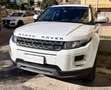 Land Rover Range Rover Evoque Range Rover Evoque  5p 2.2 td4 Pure Tech 150cv Weiß - thumbnail 14