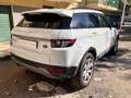 Land Rover Range Rover Evoque Range Rover Evoque  5p 2.2 td4 Pure Tech 150cv Weiß - thumbnail 21