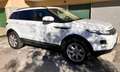 Land Rover Range Rover Evoque Range Rover Evoque  5p 2.2 td4 Pure Tech 150cv Weiß - thumbnail 18