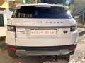 Land Rover Range Rover Evoque Range Rover Evoque  5p 2.2 td4 Pure Tech 150cv Weiß - thumbnail 5