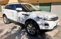 Land Rover Range Rover Evoque Range Rover Evoque  5p 2.2 td4 Pure Tech 150cv Weiß - thumbnail 3
