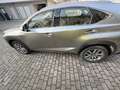 Lexus NX 300h Elegante Beige - thumbnail 6