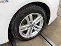 Toyota Corolla Touring Sports 1.8 Hybrid Active | Trekhaak | Came Blanc - thumbnail 17