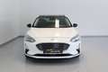 Ford Focus Titanium 1,5 EcoBlue Diesel Weiß - thumbnail 8