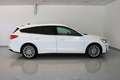 Ford Focus Titanium 1,5 EcoBlue Diesel Weiß - thumbnail 6