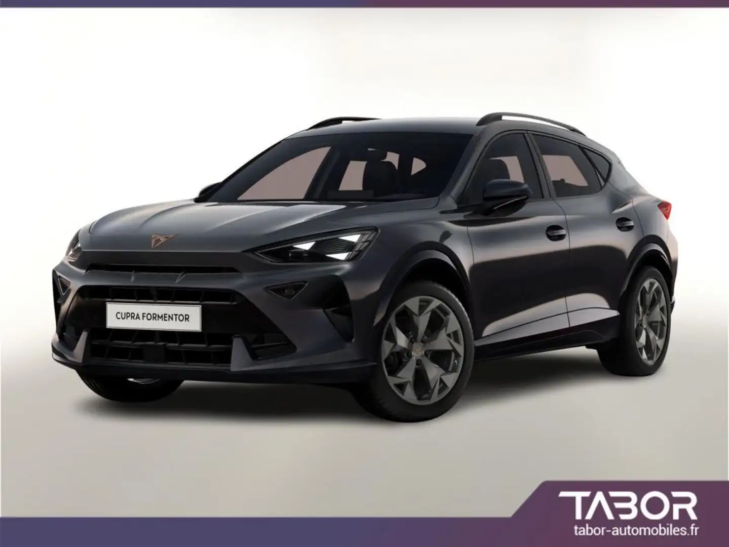 CUPRA Formentor 1.5 eTSI 150 DSG LED ACC PDC Gris - 1
