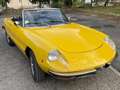 Alfa Romeo Spider Coda Tronca Gelb - thumbnail 1