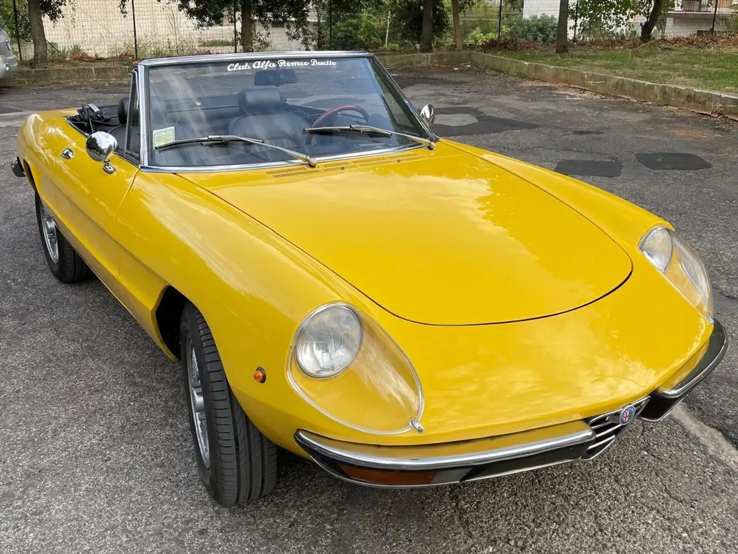 Alfa Romeo Spider Coda Tronca Gelb - 1