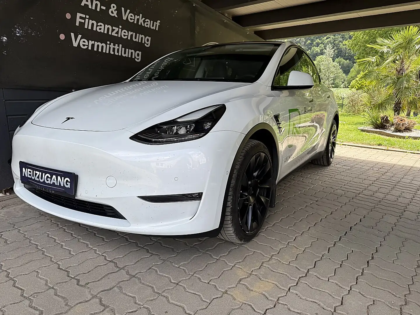 Tesla Model Y Long Range AWD 75kWh *Panoramadach*360°Kamera*L... Weiß - 1