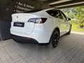 Tesla Model Y Long Range AWD 75kWh *Panoramadach*360°Kamera*L... Weiß - thumbnail 4