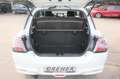 Suzuki Swift Swift Comfort Hybrid/LED/Alu/ACC/Klima/Kamera Weiß - thumbnail 25