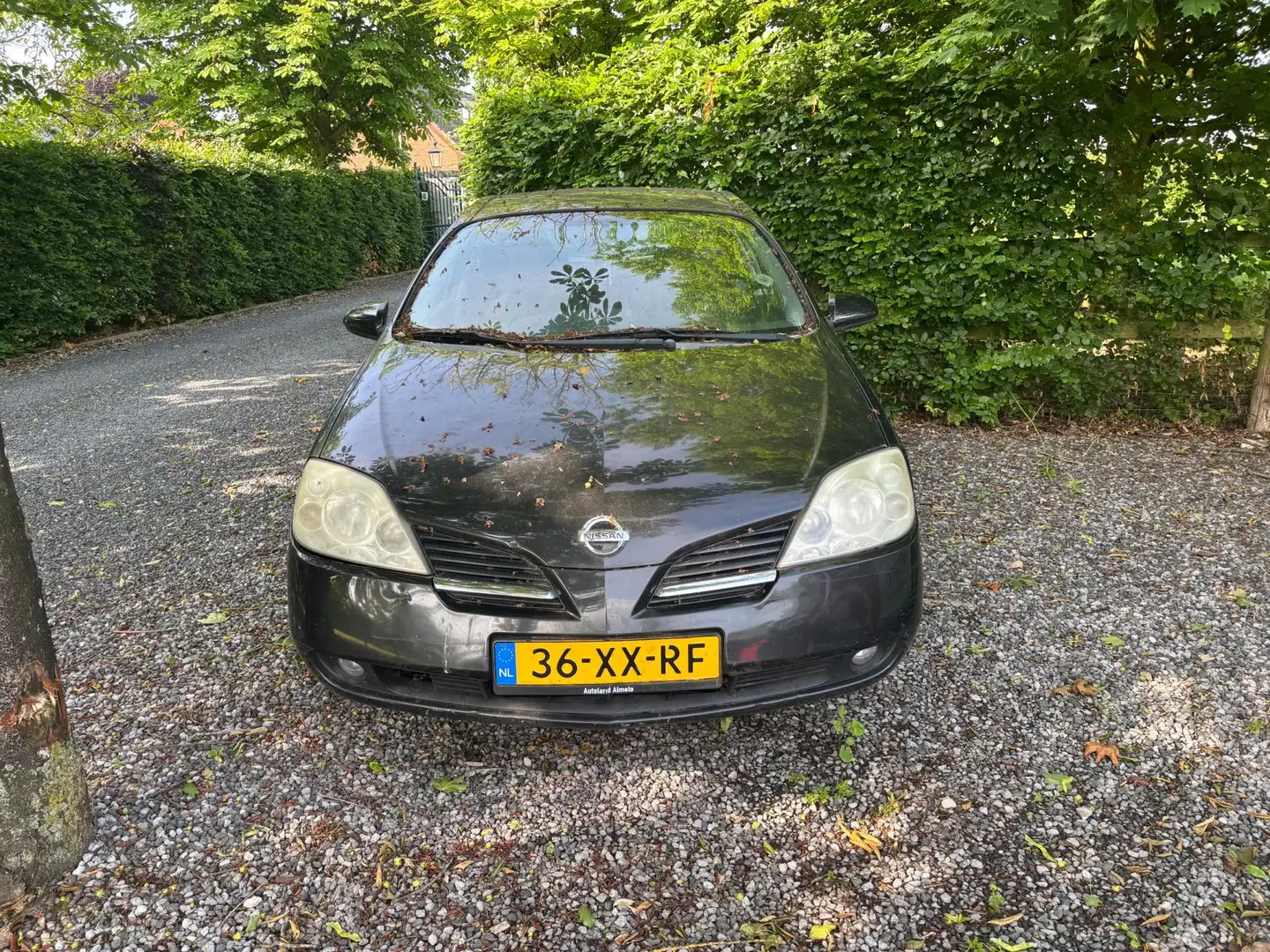 Nissan Primera 1.8 Selection Negro - 2