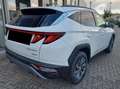 Hyundai TUCSON Xline 1.6 Full Hybrid automatico 230cv Bianco - thumbnail 5