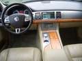 Jaguar XF 3.0 V6 Diesel S Luxury Grün - thumbnail 8