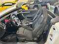 Alfa Romeo Spider TI 2.0 jdm 170cv Blanc - thumbnail 9