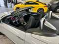 Alfa Romeo Spider TI 2.0 jdm 170cv Blanc - thumbnail 14