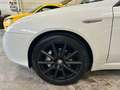 Alfa Romeo Spider TI 2.0 jdm 170cv Blanc - thumbnail 13