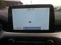 Ford Focus Focus 1.5 EcoBlue 120 CV SW Business Wit - thumbnail 16