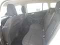 Ford Focus Focus 1.5 EcoBlue 120 CV SW Business Bianco - thumbnail 8