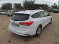 Ford Focus Focus 1.5 EcoBlue 120 CV SW Business Bianco - thumbnail 3
