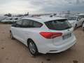 Ford Focus Focus 1.5 EcoBlue 120 CV SW Business Bianco - thumbnail 4