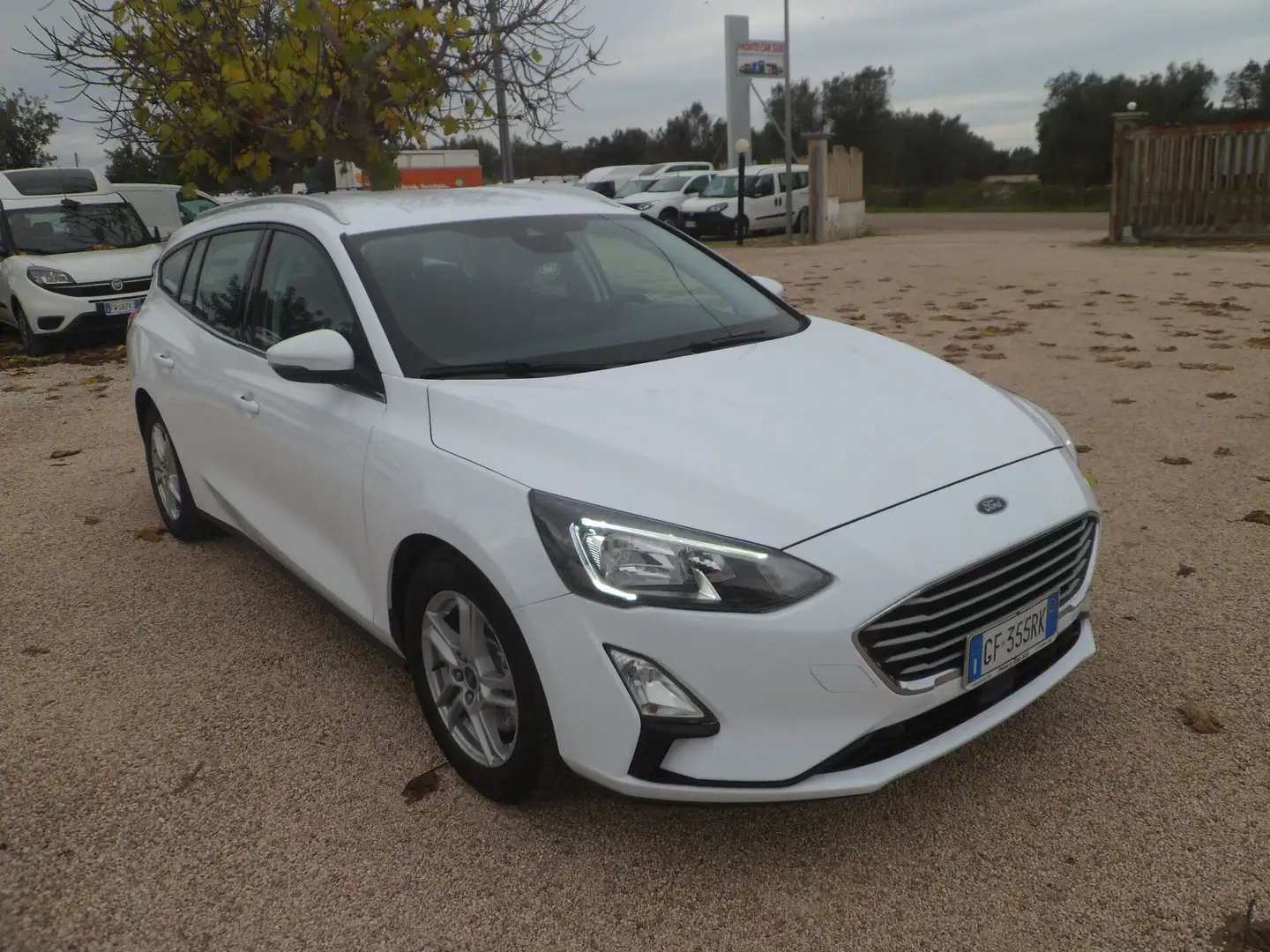 Ford Focus Focus 1.5 EcoBlue 120 CV SW Business Bianco - 2