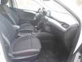Ford Focus Focus 1.5 EcoBlue 120 CV SW Business Bianco - thumbnail 13