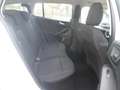 Ford Focus Focus 1.5 EcoBlue 120 CV SW Business Bianco - thumbnail 11