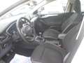 Ford Focus Focus 1.5 EcoBlue 120 CV SW Business Bianco - thumbnail 6
