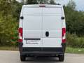 Fiat Ducato L4H2 RS:4035mm - Klimaanlage - guter Zustand - Finanzierung Weiß - thumbnail 4