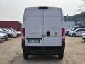 Fiat Ducato L2H2 CAMBIO AUTOMATICO 160CV Bianco - thumbnail 13