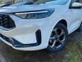 Ford Kuga ST-Line EcoBoost 8-Gang-Automatik Weiß - thumbnail 5
