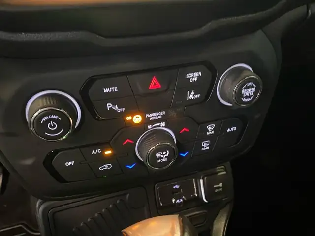 Jeep Renegade view 11