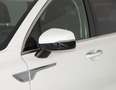 Kia Sorento 1.6 T-GDI HEV DRIVE AUTO 2WD 230 5P 7 Plazas Bianco - thumbnail 5