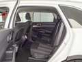 Kia Sorento 1.6 T-GDI HEV DRIVE AUTO 2WD 230 5P 7 Plazas Blanco - thumbnail 17