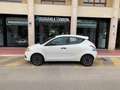 Lancia Ypsilon 1.2 Elefantino Blu ecochic Gpl 69cv my19 Blanc - thumbnail 1