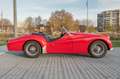 Triumph TR3 Rojo - thumbnail 2